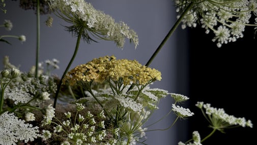 Floral Arrangement in pale colours
